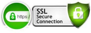 Logo SSL Seguro